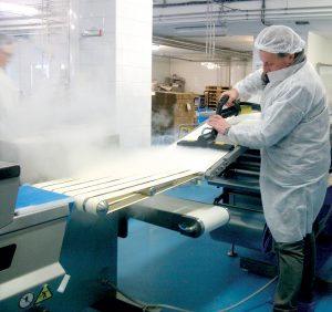TECNOVAP STEAM BOX VAC INDUSTRIAL - Image 4