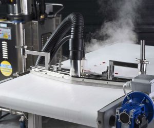 TECNOVAP CONVEYOR BELT